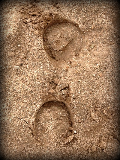 Hoofprints in the Baja Desert Sand