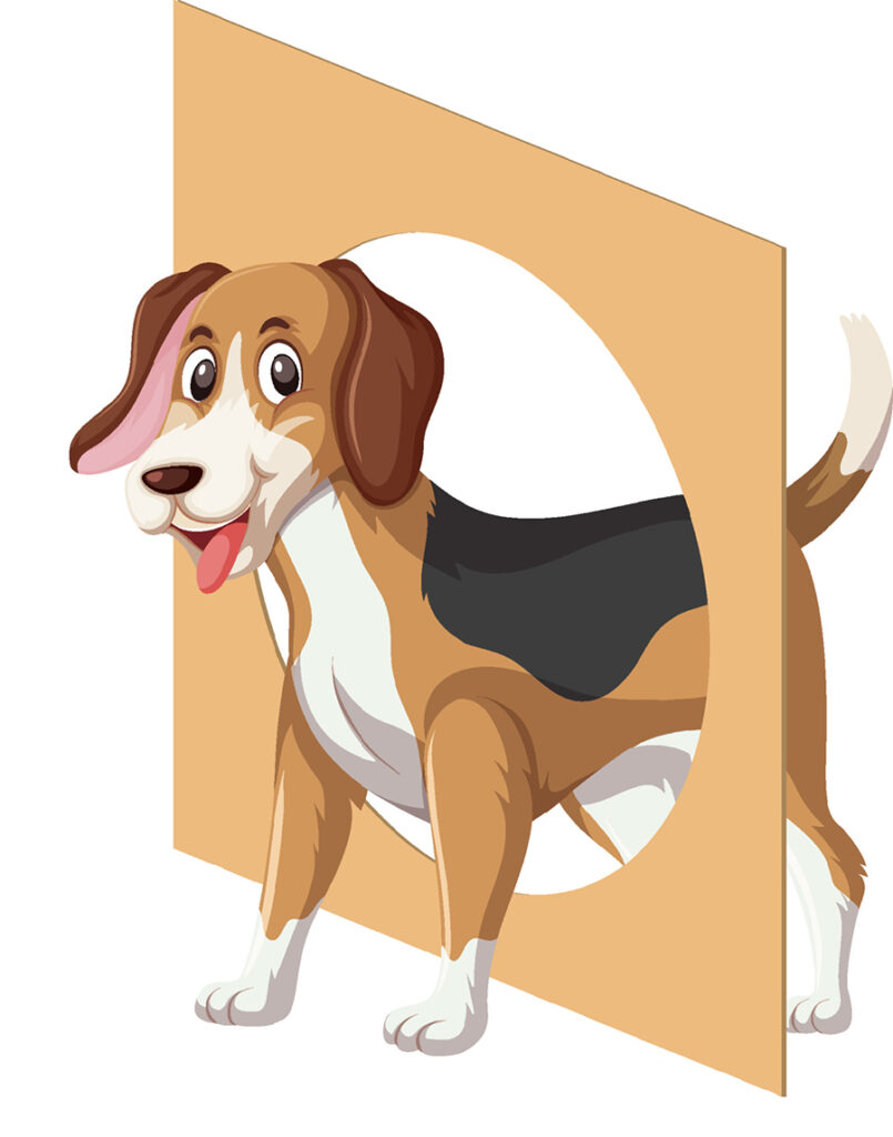 Agility