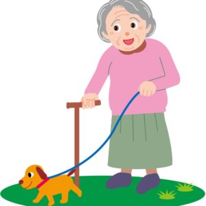 Adult dog class