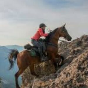 horse and rider racing up a rocky hill