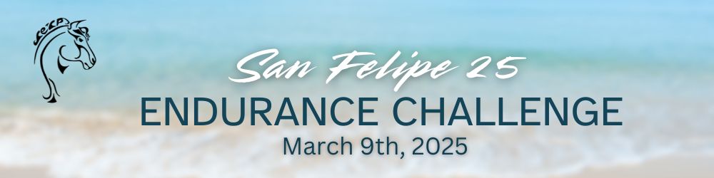 san felipe 25 endurance challenge race webpage banner